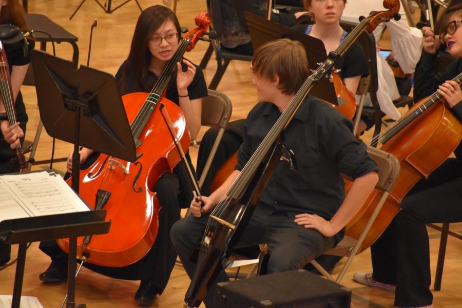 Blake Vitry on electric cello