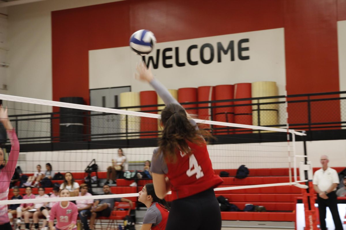 volleyball team